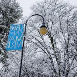 雪树前的蓝色布林茅尔灯横幅. 